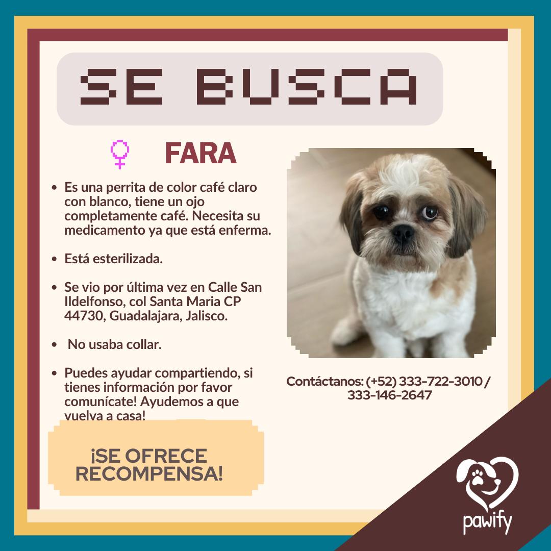 FARA - Perro
