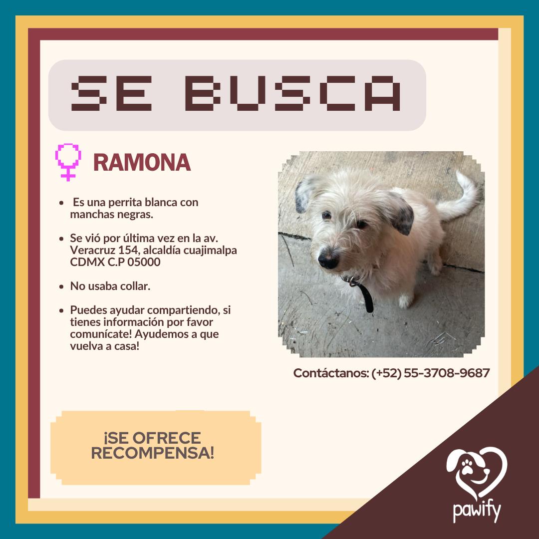 RAMONA - Perro