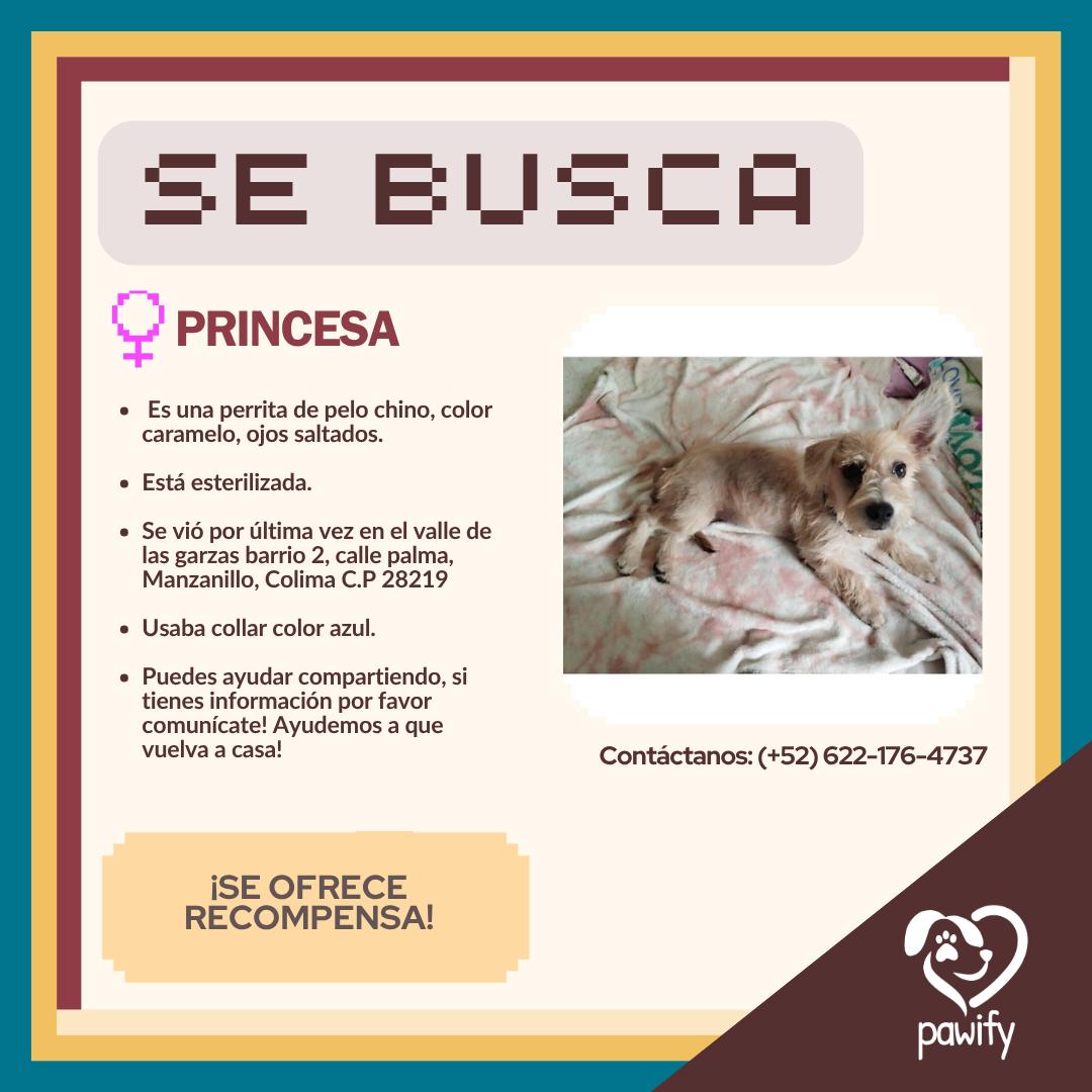 PRINCESA - Perro