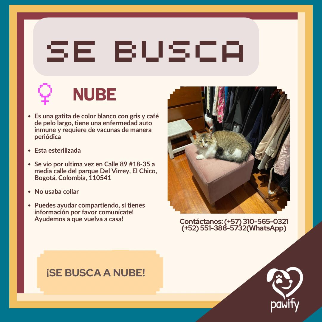 Nube - Gato
