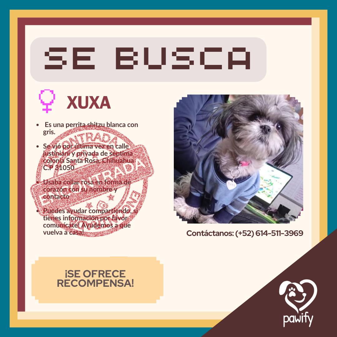 XUXA - Perro