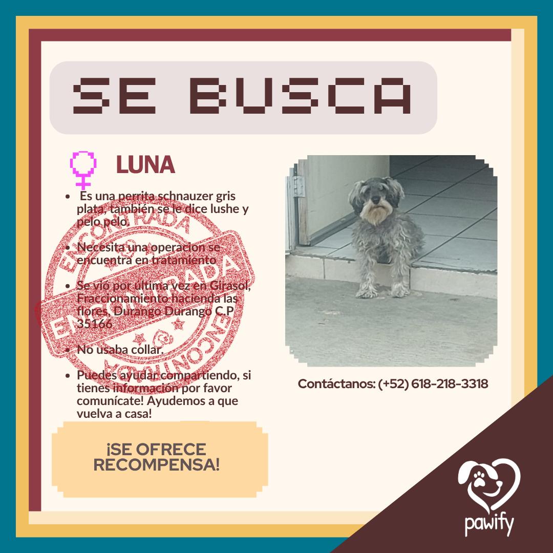 LUNA - Perro